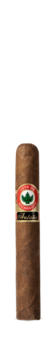 JOYA DE NICARAGUA ANTANO 1970 ROBUSTO GRANDE 5 1/2X52 SINGLE