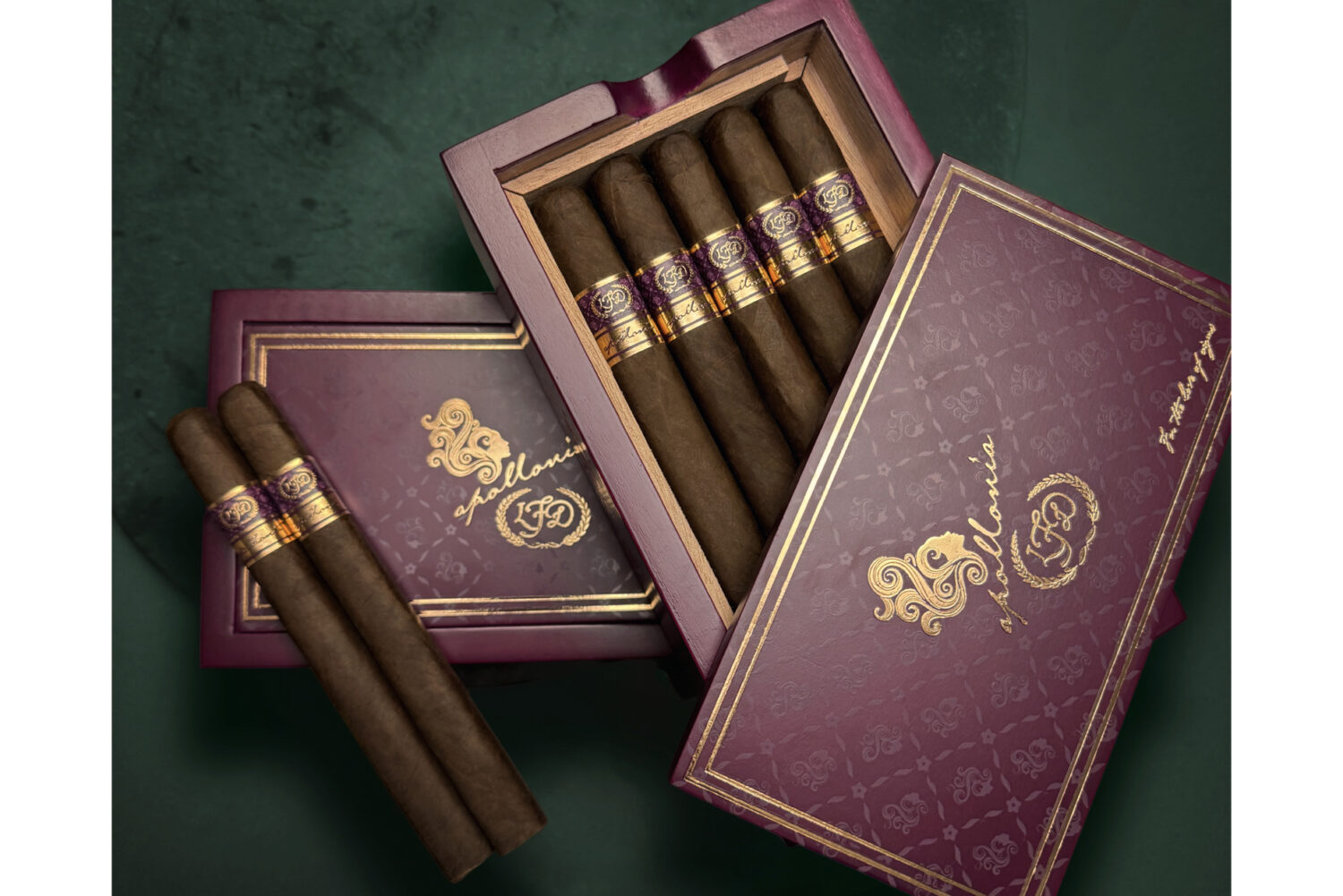 taa tobacco Exclusives Cigar Review: La Aurora TAA