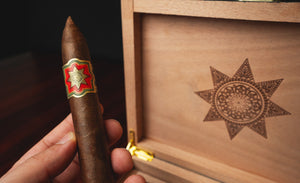 The Tabernacle Knight Commander (Box of 12)